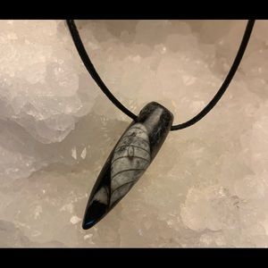 2/$15 Orthoceras Fossil Necklace 18”